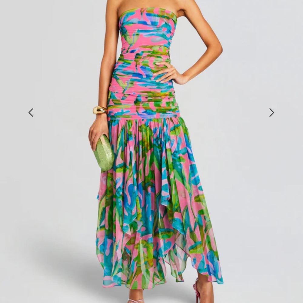 NWT Retrofete Teryn Silk Dress